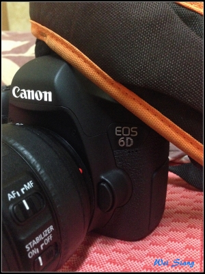 新的玩具回來了~