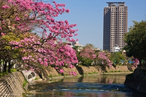 風鈴木