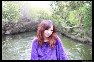 女王之高鐵&荷蘭村&台江隨拍