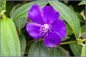 杰克的生態集錦~沒有新百微~哭哭