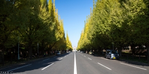 東京之旅(2) - 明治神宮