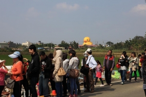 黃色小鴉..(回家了)