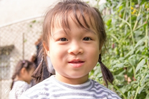 美濃採橙蜜之旅 2012-12-16拍