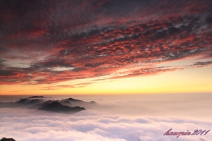 隙頂～～啍~~登到你了吧！！