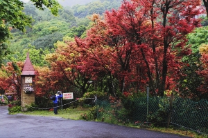 台北の奧萬大
