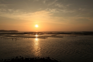 蚵棚 魚舟 夕影--台江潟湖