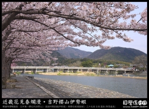 京都賞櫻【散步嵐山櫻河畔‧品嚐和風膳】