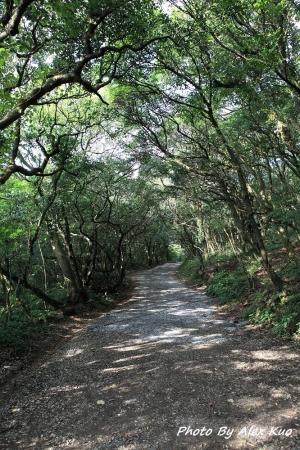 Jessie在二子坪步道