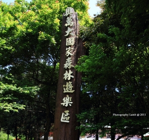 【奧萬大】散步賞楓葉