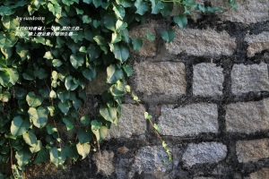 快天黑了  要快快回家