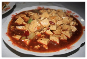 [西安遊記] 隴海鐵路 2009-12-5