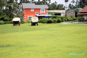 假日出門走走~~~嘉義中埔鄉.綠盈牧場--->東山服務區