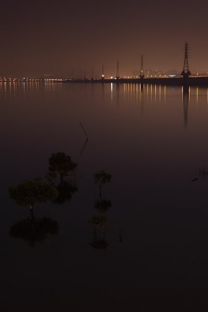 堤岸