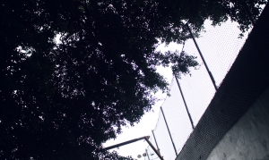 孤單的心,透露出眼神!!