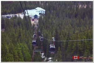 2011 Canada 加拿大之旅 - 班夫、優鶴、冰河國家公園、硫磺山
