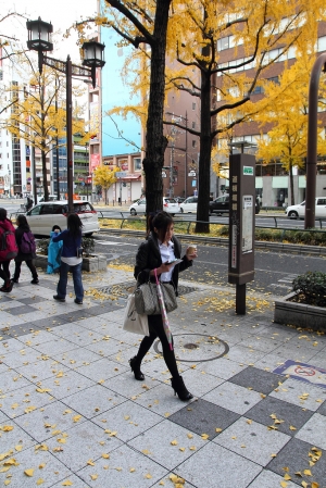 2013 第一次出國就京阪神自由行~心臟真大 5