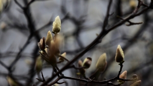 雨天午後的公園