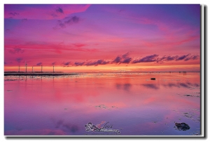 夕燒  高美溼地