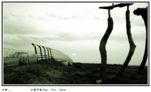 人都有放下 道珍重的一天.......