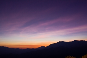 阿里山日出&櫻花