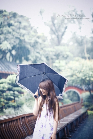 雨