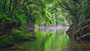 初訪祕境＊瑪陵坑溪＊