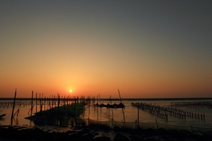 台西海濱風情