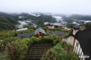 春遊清境--普羅旺斯玫瑰莊園