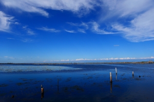 是開闊的藍,也是憂鬱的藍.....