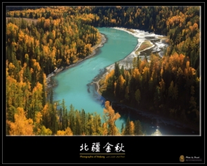 北彊金秋 2010