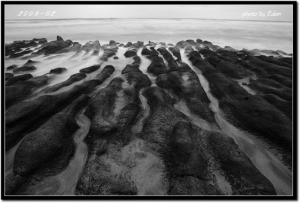 228 來去老梅吹吹風