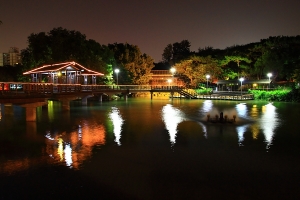 麗池 白天不懂夜的黑 … by DW