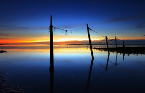 慶祝躍陞 金牌會員  有請各位賞圖同樂囉