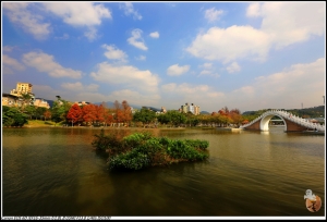 OO內湖大湖公園走拍OO