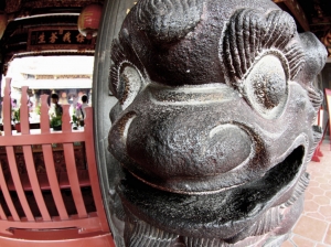 魚眼下的快樂,只有一張.