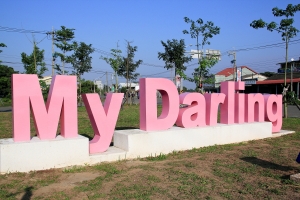 我的女王我的Darling