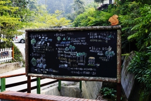 新社鄉薰衣草森林(圖少)