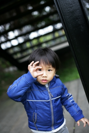 一張流 我家的佐佐