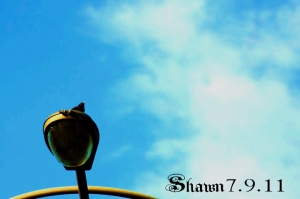 [400D] 美麗華 上班隨拍