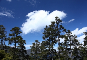 2012 我在雪山爬山