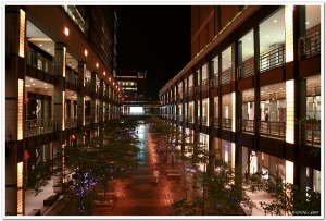 ★信義的天橋~信義的夜★