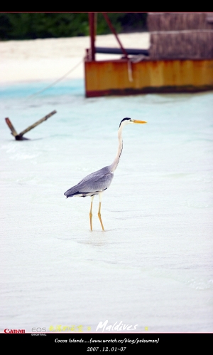 失落的天堂-Maldives@絕景篇 II