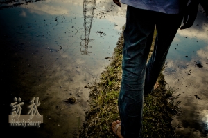 ～訪。秋～