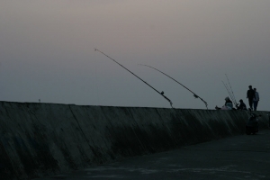 {老梗}西子灣風雲