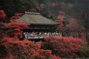 京阪散策 洛東篇