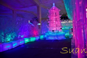 20130202新竹哈爾冰冰雕幫忙打廣告