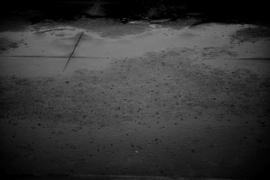 Black&White Shin-Lin