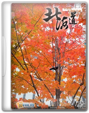 [北海戀]秋葉楓．札幌新千歲