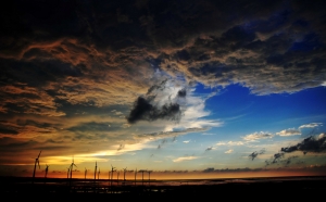 重口味的一張流   夕