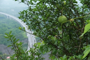离家不远的小景点